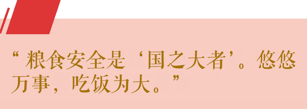 第1視點(diǎn)丨這個“國之大者” 總書記念茲在茲