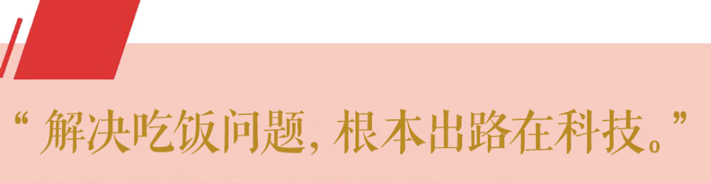 第1視點(diǎn)丨這個“國之大者” 總書記念茲在茲