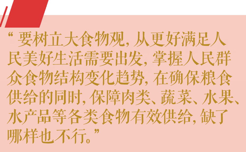 第1視點(diǎn)丨這個“國之大者” 總書記念茲在茲