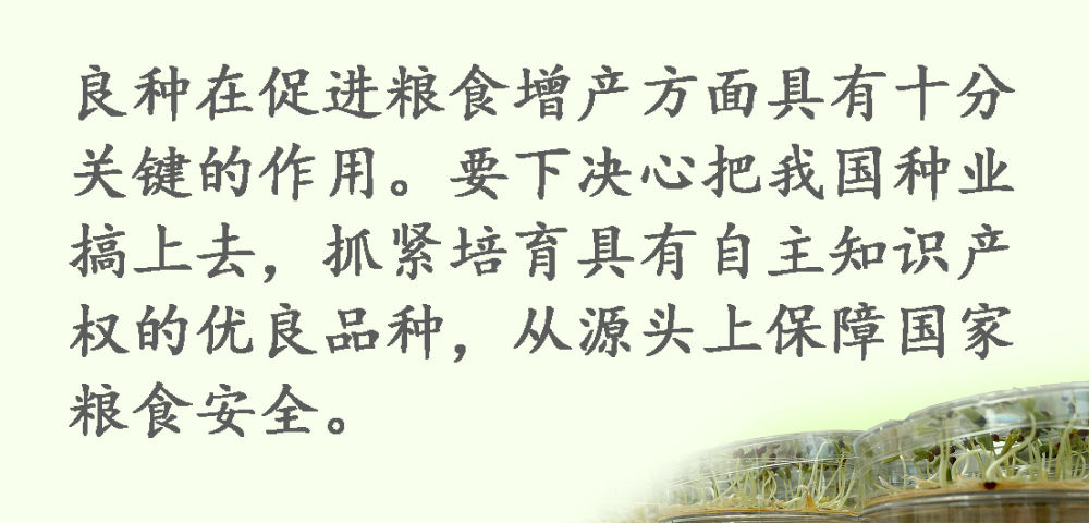 鏡觀·領(lǐng)航丨習(xí)近平:這是一件具有戰(zhàn)略意義的大事