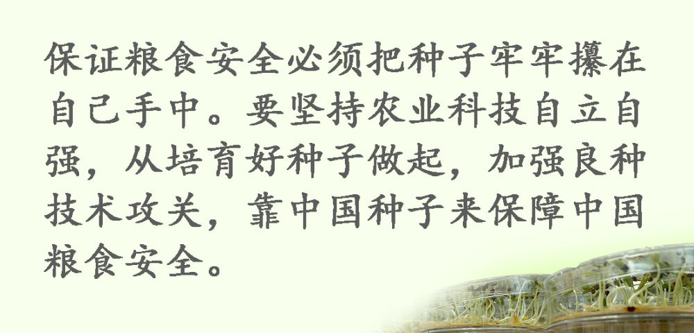 鏡觀·領(lǐng)航丨習(xí)近平:這是一件具有戰(zhàn)略意義的大事