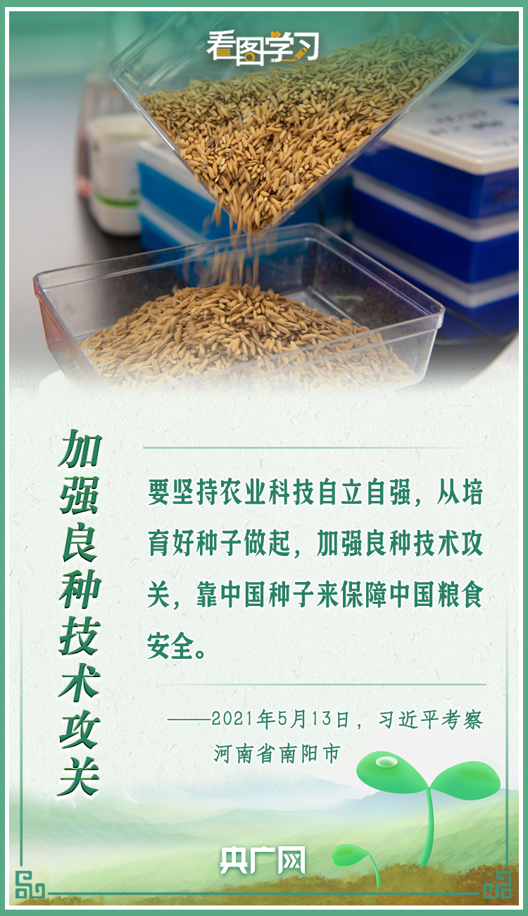 看圖學(xué)習(xí)|牢記總書(shū)記叮囑 攥緊種子端牢飯碗