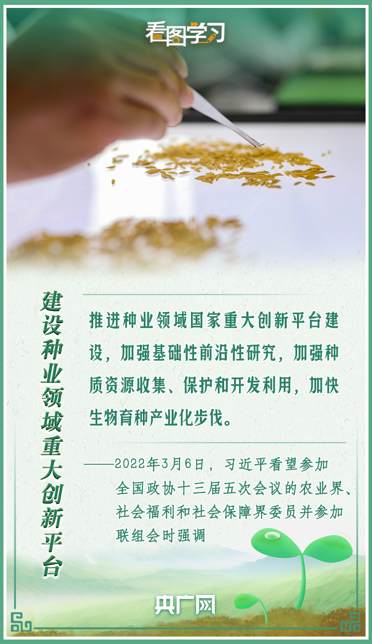 看圖學(xué)習(xí)|牢記總書(shū)記叮囑 攥緊種子端牢飯碗