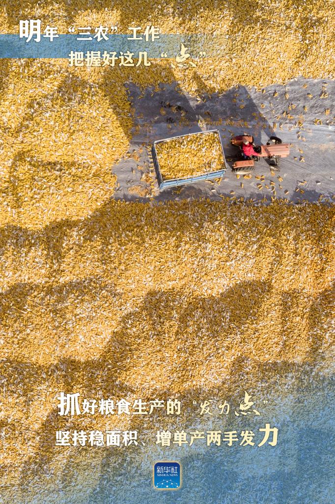 明年“三農(nóng)”工作，這幾個(gè)“點(diǎn)”要把握好