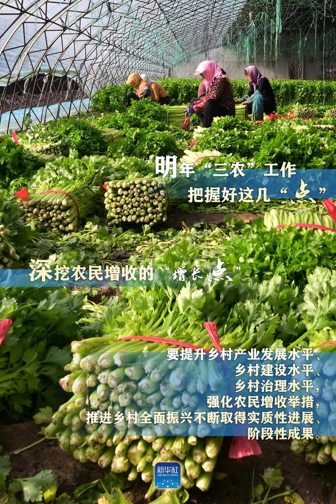 明年“三農(nóng)”工作，這幾個(gè)“點(diǎn)”要把握好