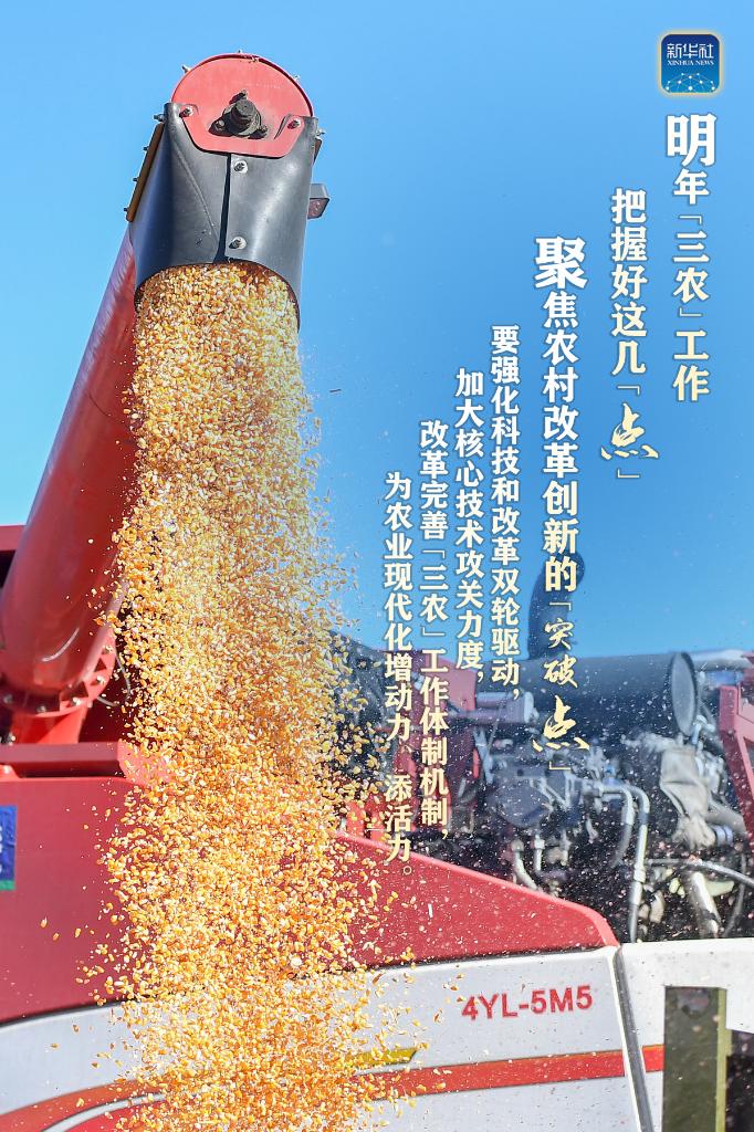 明年“三農(nóng)”工作，這幾個(gè)“點(diǎn)”要把握好