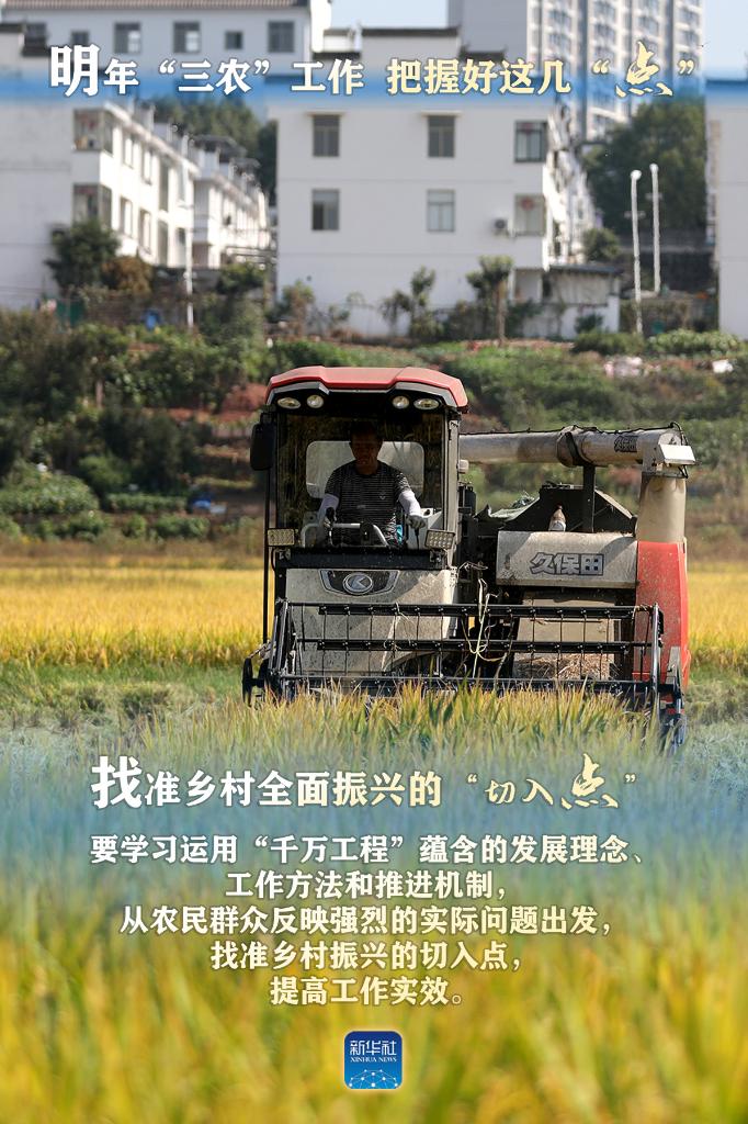 明年“三農(nóng)”工作，這幾個(gè)“點(diǎn)”要把握好