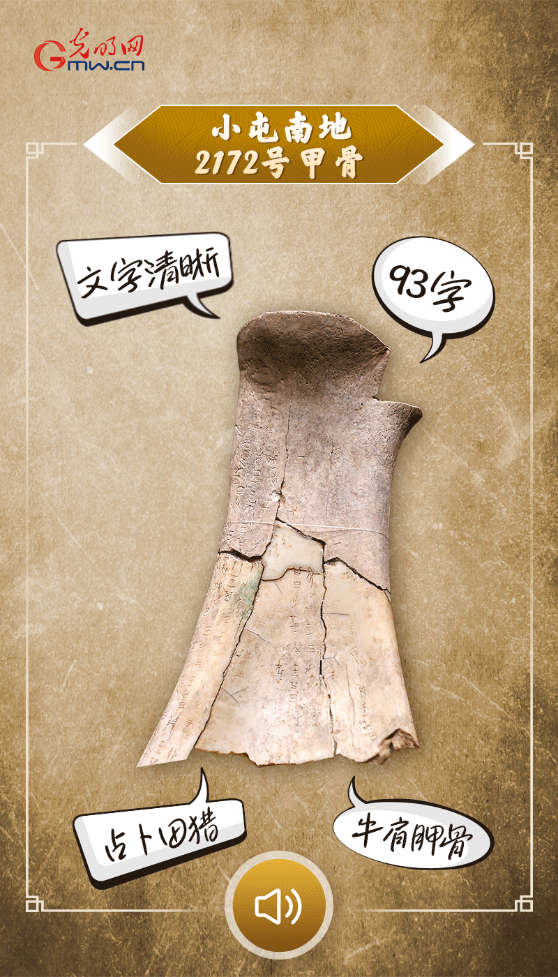 文物會(huì)說(shuō)話 | 殷墟博物館新館開(kāi)館啦，帶你奔赴“千年之約”