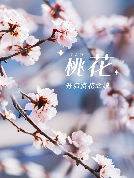 追花指南第三期！別等了 今天就去和桃花撞個(gè)滿懷