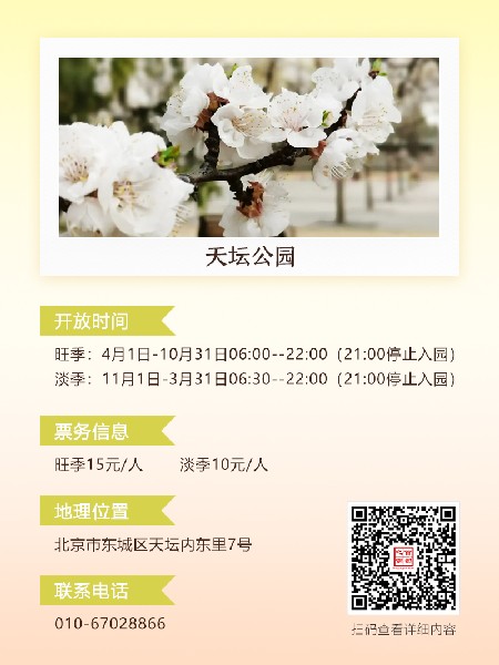 追花指南第六期！杏花雨 楊柳風(fēng) 北京最美的杏花在這里