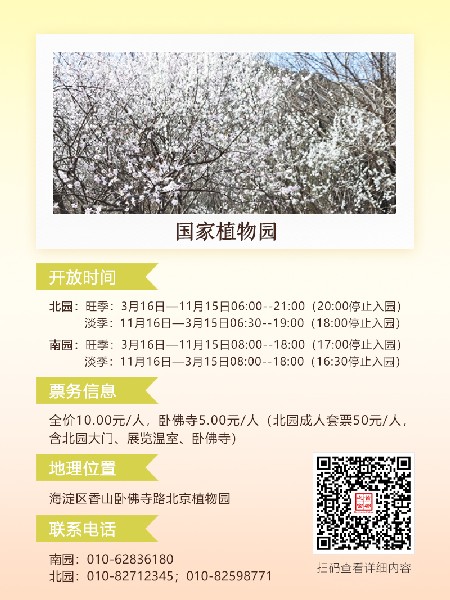 追花指南第六期！杏花雨 楊柳風(fēng) 北京最美的杏花在這里