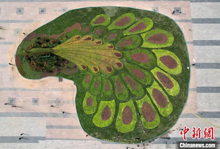 圖為航拍花壇。(無人機(jī)照片) 翟羽佳 攝