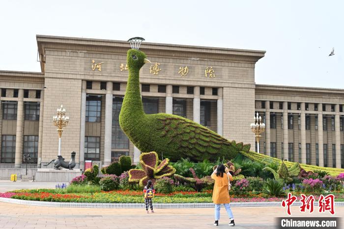 圖為游客在花壇前拍照打卡?！〉杂鸺?攝