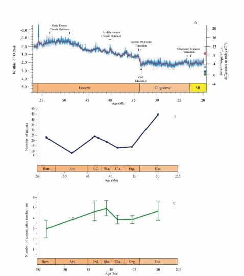 早始新世至早漸新世東亞嚙齒類屬級多樣性變化?！≈锌圃汗偶棺邓?供圖