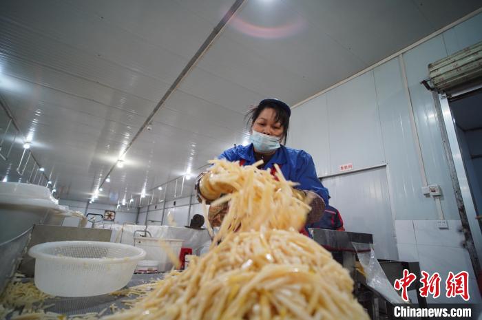 圖為一名工人正在處理切成條狀后的酸筍?！№f國政 攝