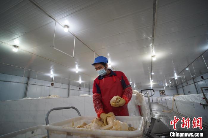 圖為一名工人正在查看酸筍腌制效果。　韋國政 攝