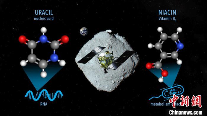 國際最新研究稱,近地小行星“龍宮”上發(fā)現(xiàn)尿嘧啶等核酸堿基