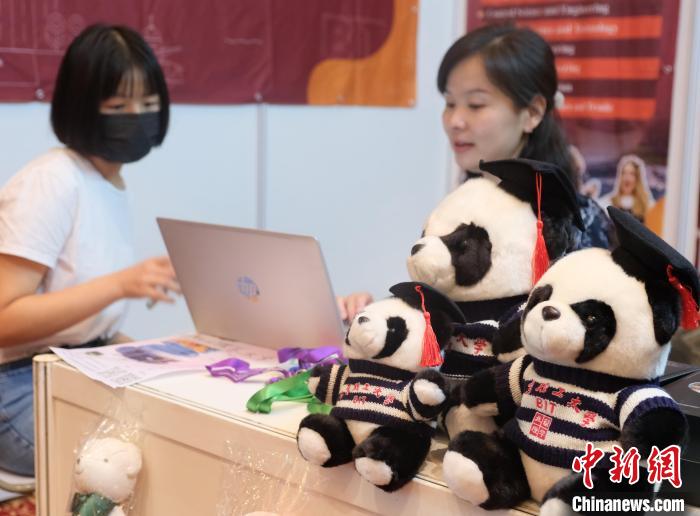 北京理工大學(xué)帶來可愛熊貓玩偶，頗為吸睛 陳悅 攝