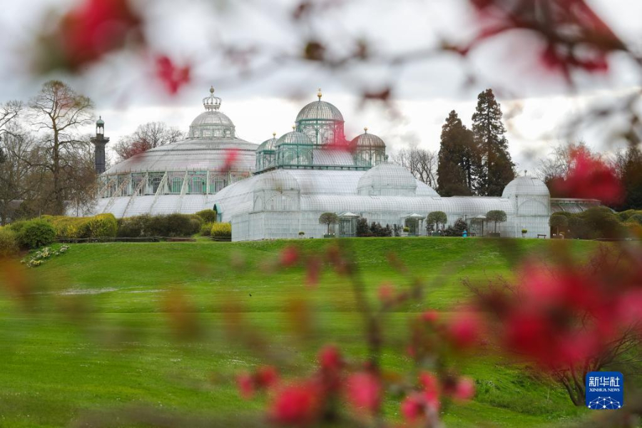 這是4月14日在比利時(shí)布魯塞爾拍攝的拉肯宮王家溫室花園。新華社記者 鄭煥松 攝