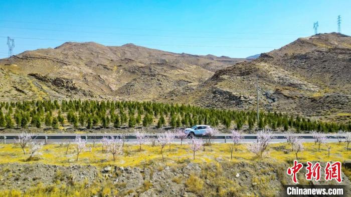 生態(tài)修復(fù)后逐漸變綠的賀蘭山石嘴山段。　石嘴山市委宣傳部供圖