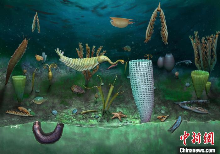 Castle Bank動(dòng)物群藝術(shù)復(fù)原圖(Yang Dinghua繪制)?！∈┢樟指瘛ぷ匀?供圖