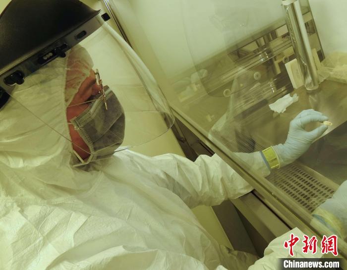 Elena Essel在凈室中處理鹿牙墜飾(圖片來(lái)自馬克斯·普朗克演化人類學(xué)研究所)。　施普林格·自然 供圖