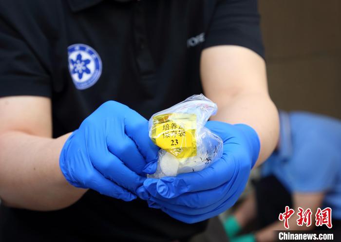 隨神舟十五號返回地面的空間科學(xué)實驗樣品?！≈锌圃嚎臻g應(yīng)用中心 供圖