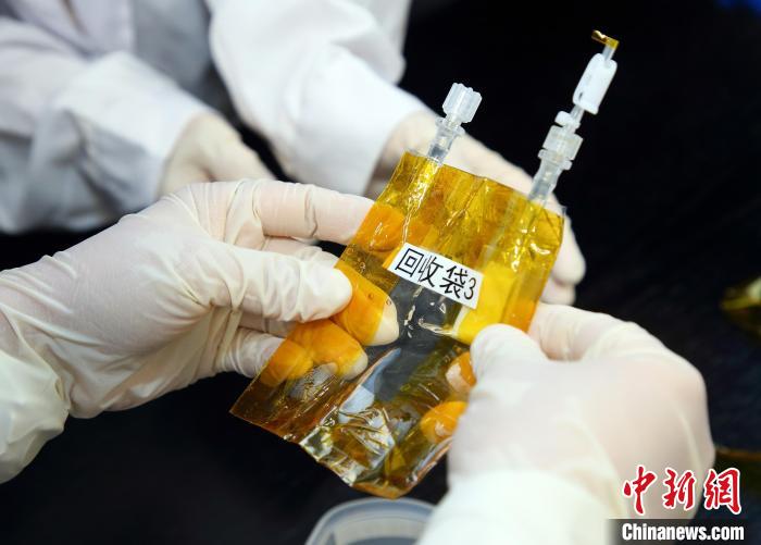 隨神舟十五號返回地面的空間科學(xué)實驗樣品?！≈锌圃嚎臻g應(yīng)用中心 供圖