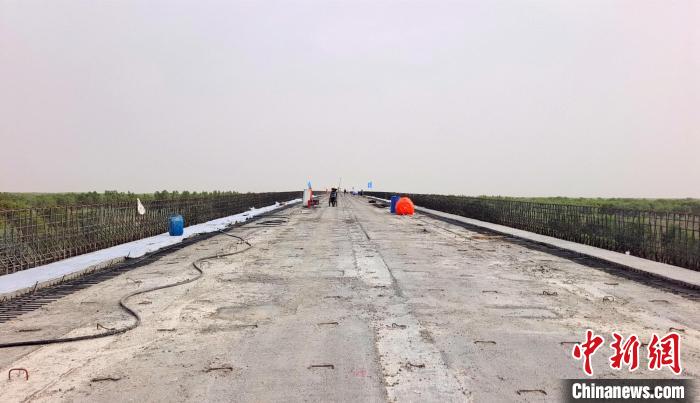 工作人員正在橋面上緊張有序地施工?！∈酚窠?攝