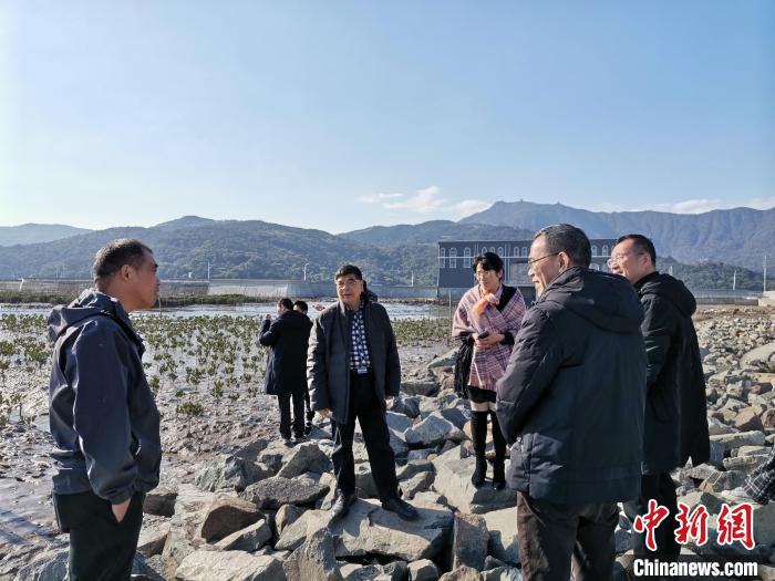 浙江海洋生態(tài)觀察：智慧大腦如何解鎖藍色發(fā)展密碼？