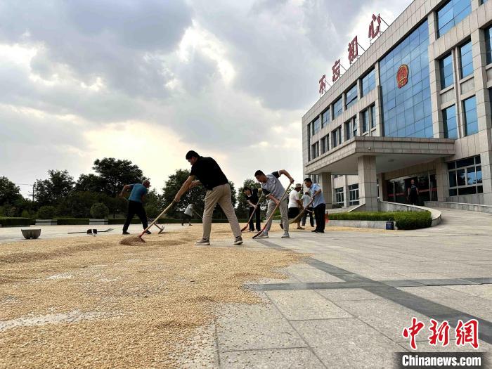 平原縣組織志愿者幫助農(nóng)民晾曬小麥?！垈?攝