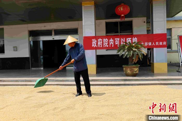 村民在棗莊市嶧城區(qū)古邵鎮(zhèn)政府大院內(nèi)晾曬糧食?！『?　攝