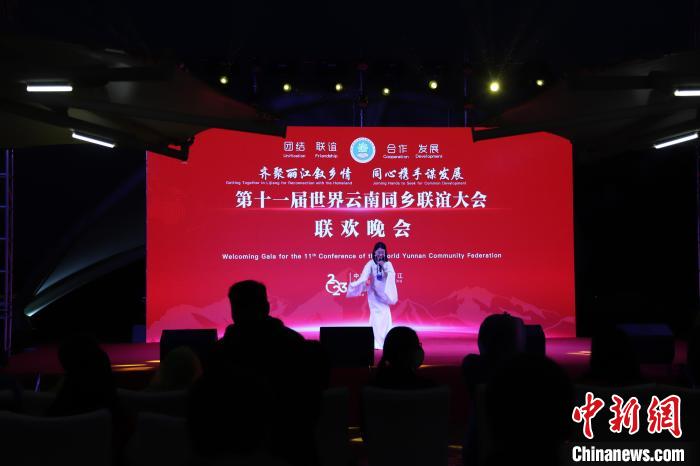 圖為第十一屆世界云南同鄉(xiāng)聯(lián)誼大會(huì)舉辦聯(lián)歡晚會(huì)?！〈抻澜?攝
