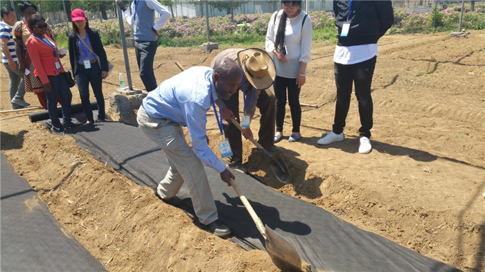 孫釗現(xiàn)場(chǎng)指導(dǎo)農(nóng)民耕種。受訪者供圖