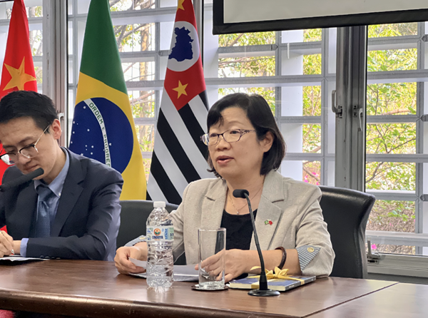 中國(guó)駐圣保羅總領(lǐng)事陳佩潔致辭。中國(guó)駐圣保羅總領(lǐng)館供圖