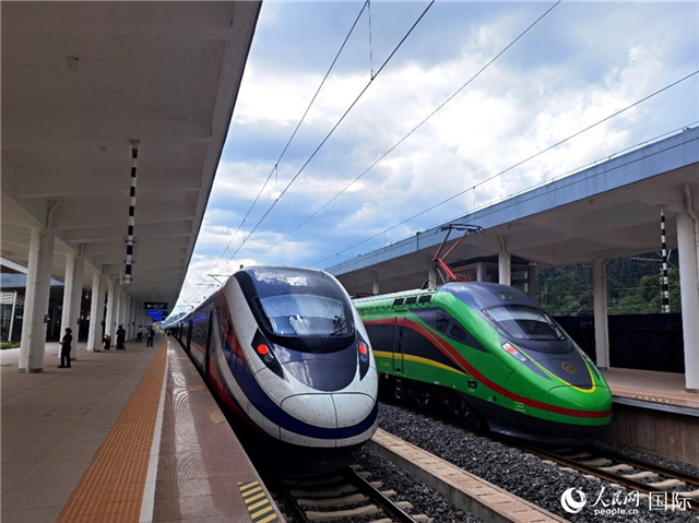 “復(fù)興號”和“瀾滄號”國際旅客列車?？吭诶蠐肽ザ≌?。人民網(wǎng) 杜明明攝