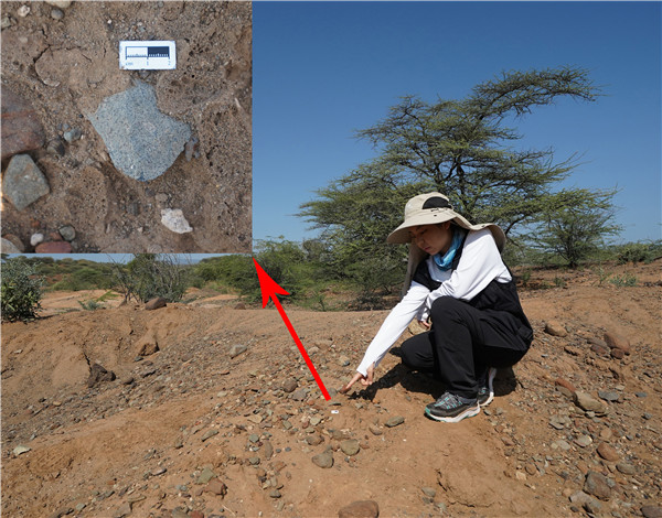 地層中的勒瓦婁哇石片。中肯聯(lián)合考古隊供圖