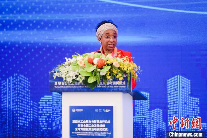 聯(lián)合國工業(yè)發(fā)展組織總干事代表兼執(zhí)行干事法圖 海達拉致辭。