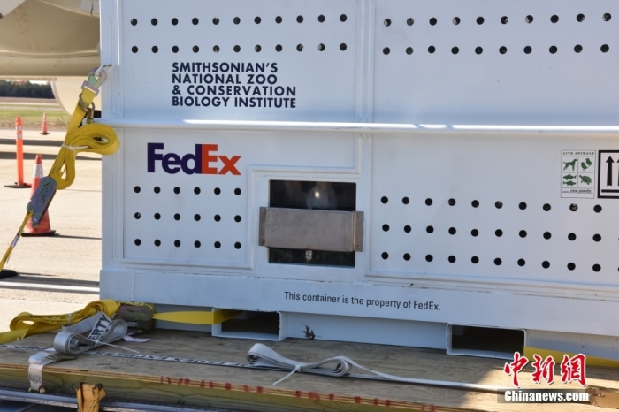 當(dāng)?shù)貢r間11月8日，美國華盛頓史密森學(xué)會國家動物園的大熊貓“美香”“添添”和它們的幼崽“小奇跡”乘坐的專機(jī)從華盛頓杜勒斯國際機(jī)場起飛前往中國成都。圖為裝有大熊貓的特制“旅行箱”。<a target='_blank' href='/'><p  align=