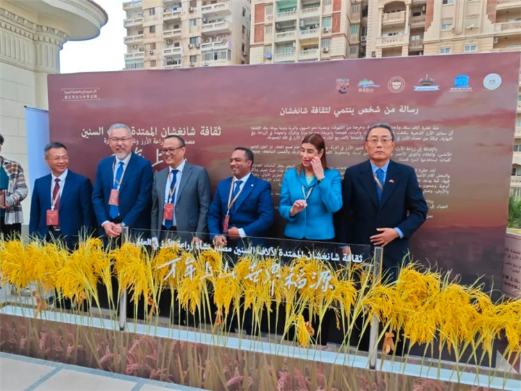 圖為現(xiàn)場嘉賓為特展啟幕。開羅中國文化中心供圖