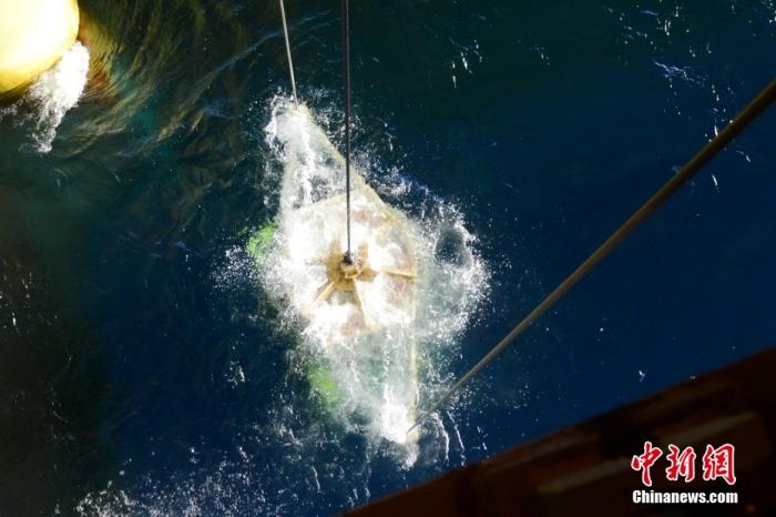 機(jī)器人入水瞬間。<a target='_blank' href='/' _fcksavedurl='/' ><p  align=