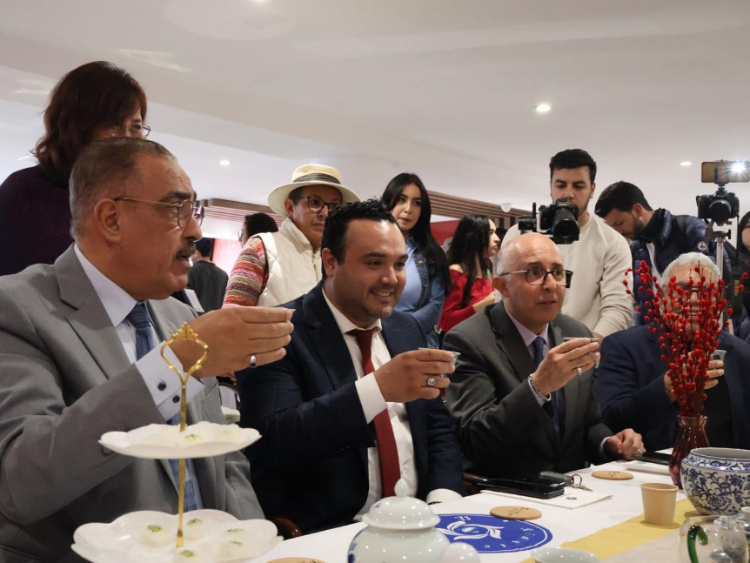 觀眾興致勃勃地體驗(yàn)茶藝。陳芷珊攝