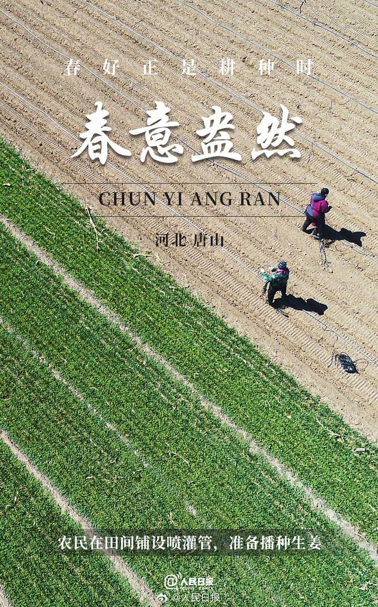 生機(jī)盎然！用課本封面打開(kāi)春耕畫(huà)卷