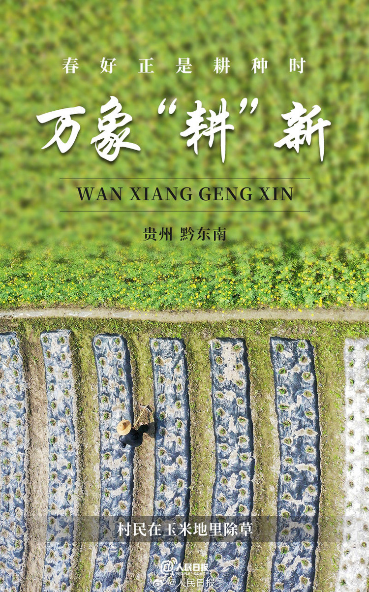 生機(jī)盎然！用課本封面打開(kāi)春耕畫(huà)卷