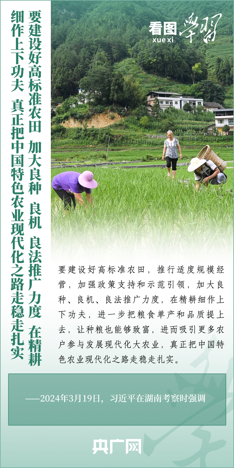 看圖學(xué)習(xí)丨推廣良田、良種、良法、良機(jī) 給農(nóng)業(yè)現(xiàn)代化插上科技的翅膀