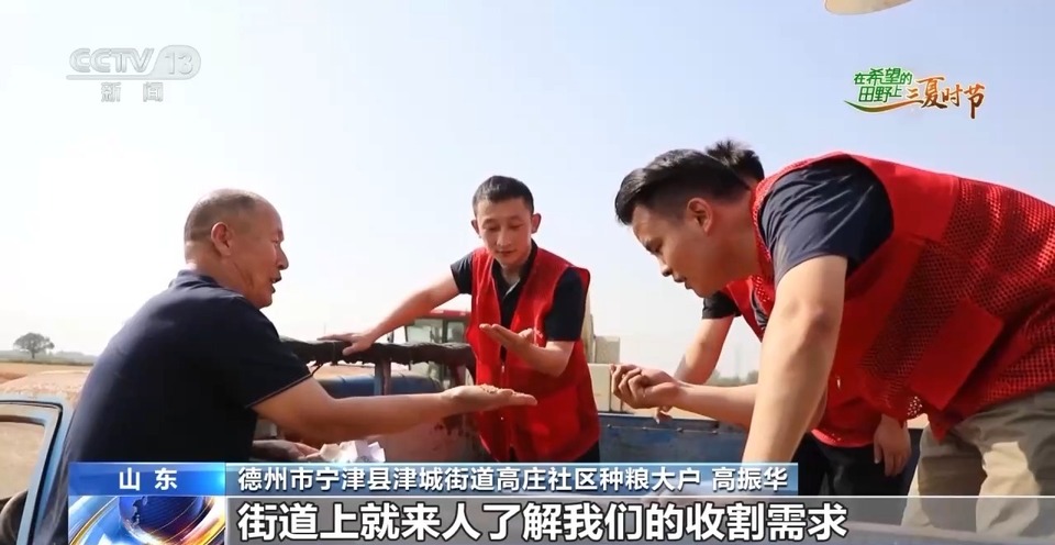 “三夏”生產(chǎn)思維導(dǎo)圖安排上了！還有政府大院等你來“曬”