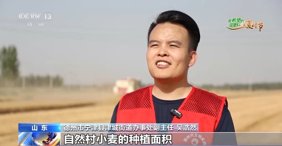 “三夏”生產(chǎn)思維導(dǎo)圖安排上了！還有政府大院等你來“曬”