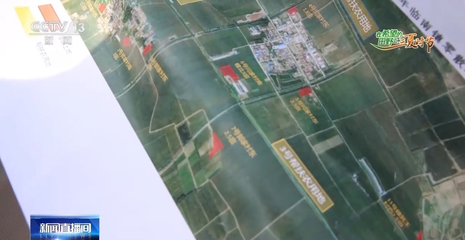 “三夏”生產(chǎn)思維導(dǎo)圖安排上了！還有政府大院等你來“曬”