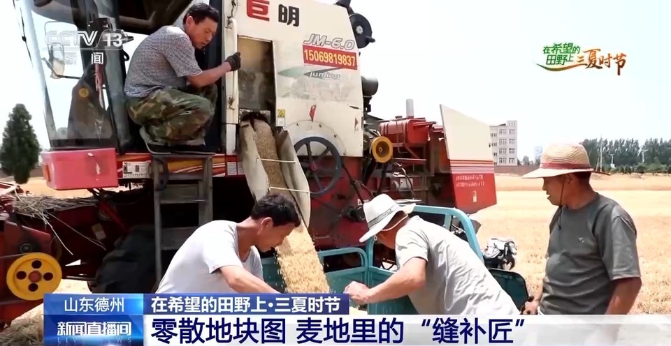 “三夏”生產(chǎn)思維導(dǎo)圖安排上了！還有政府大院等你來“曬”