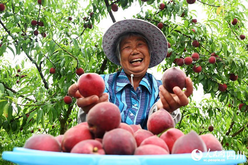 豐收的喜悅。蘭自濤攝